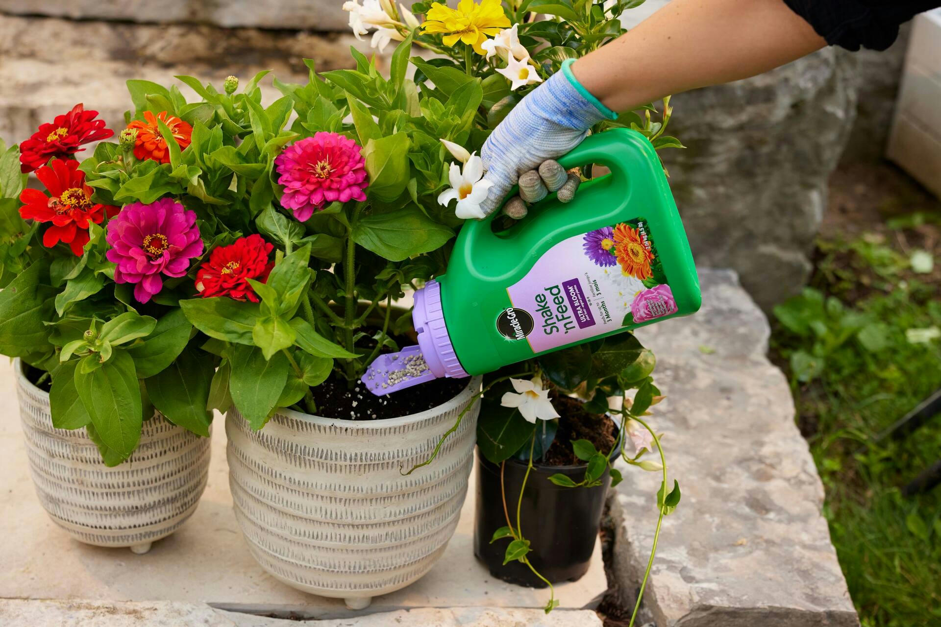 Miracle-Gro® Shake N Feed Ultra Bloom Plant Food, 10-18-9, 2-kg
