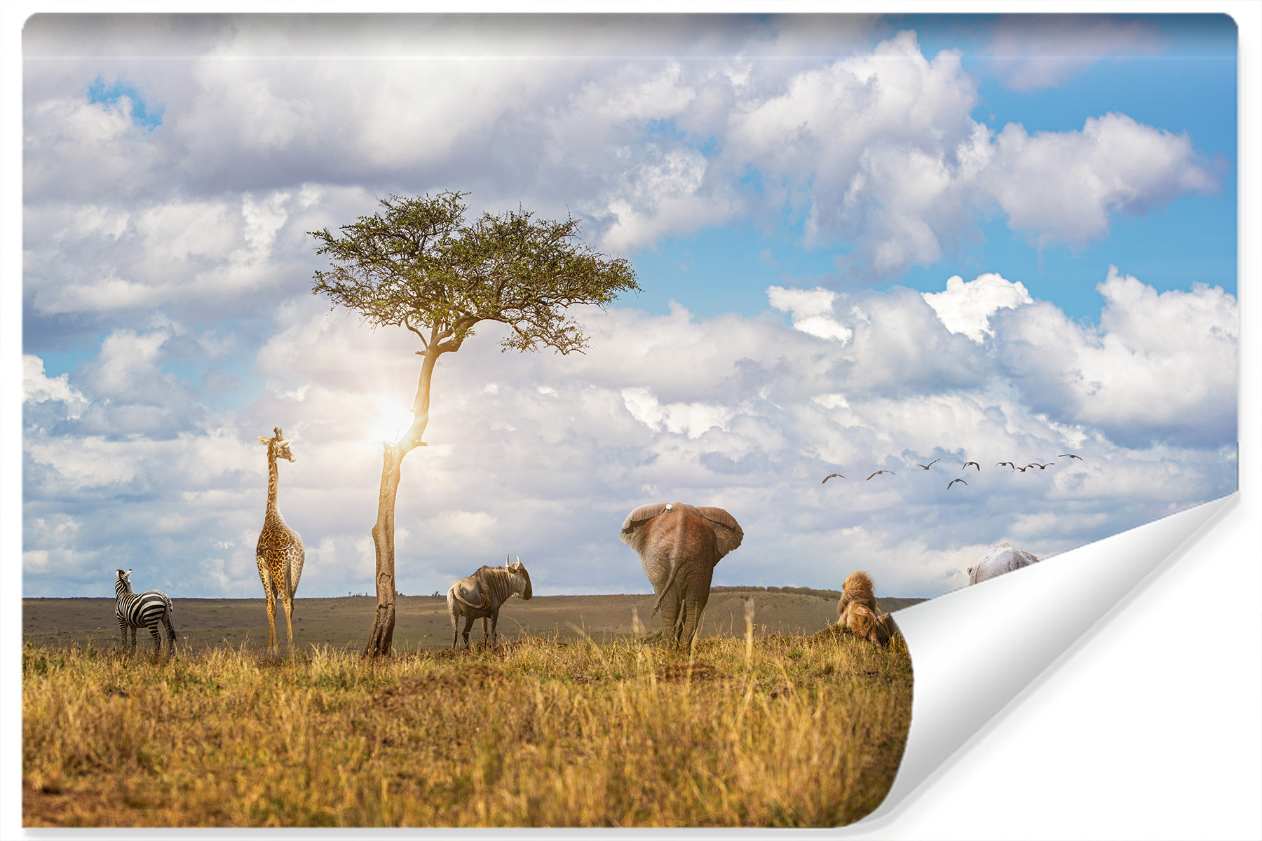 Fototapeta ZWIERZĘTA Safari Słońce Natura 90x60cm