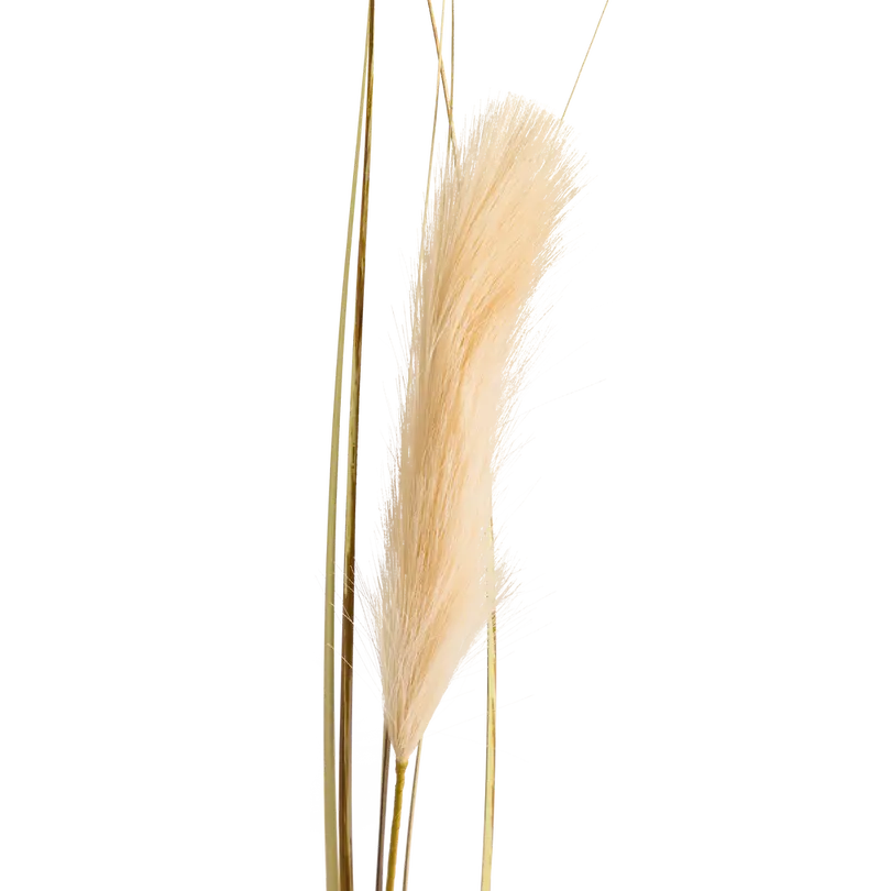 Dekozweig Dried-Grass