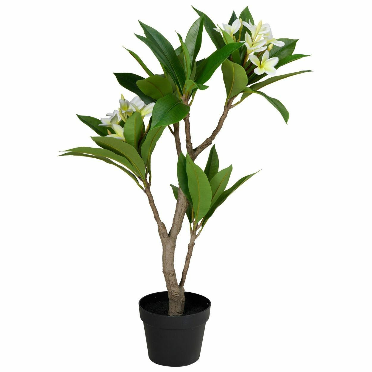Sztuczne drzewko frangipani biała 90 cm w doniczce