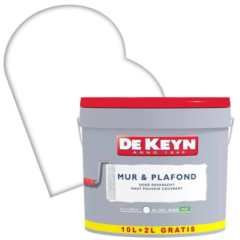 Peinture Mur & Plafond blanche mate 10   2 L gratuit DE KEYN
