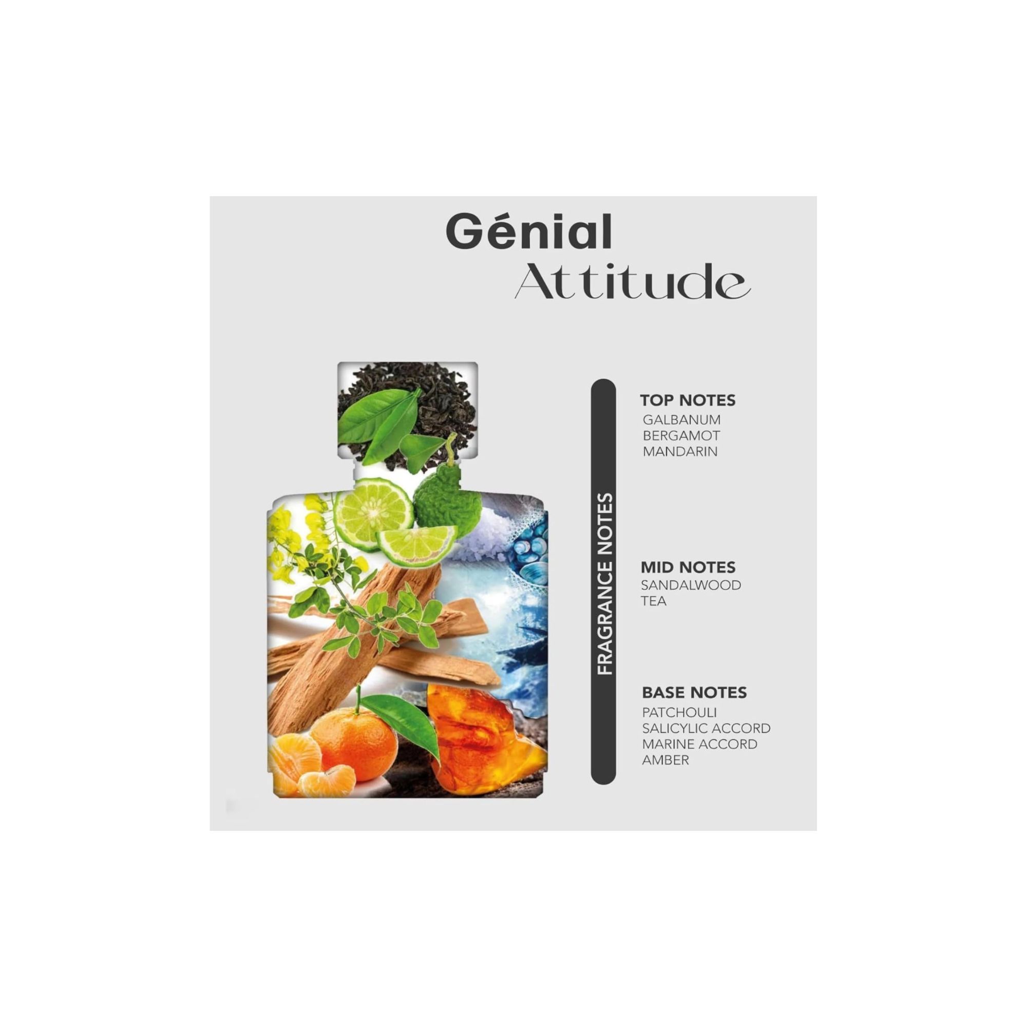 Nylaa Genial Attitude 100ml Eau De Parfum Fragrance for Men