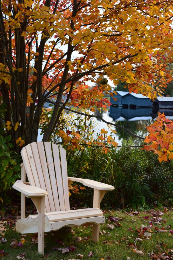 Bear Chair Indoor/Outdoor Muskoka Chair, White