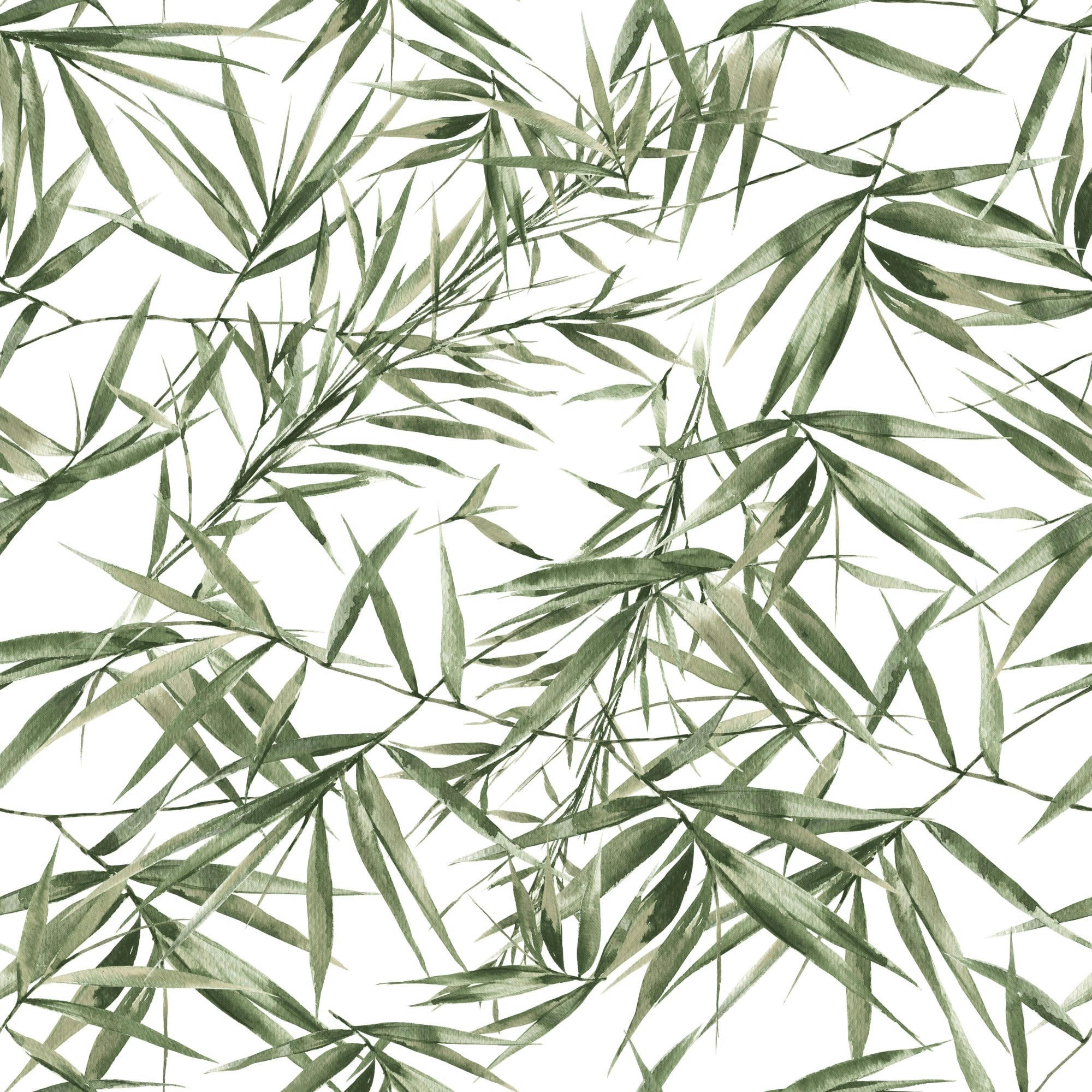 - Papier peint intissé feuilles de bambou vert blanc 1005x52cm