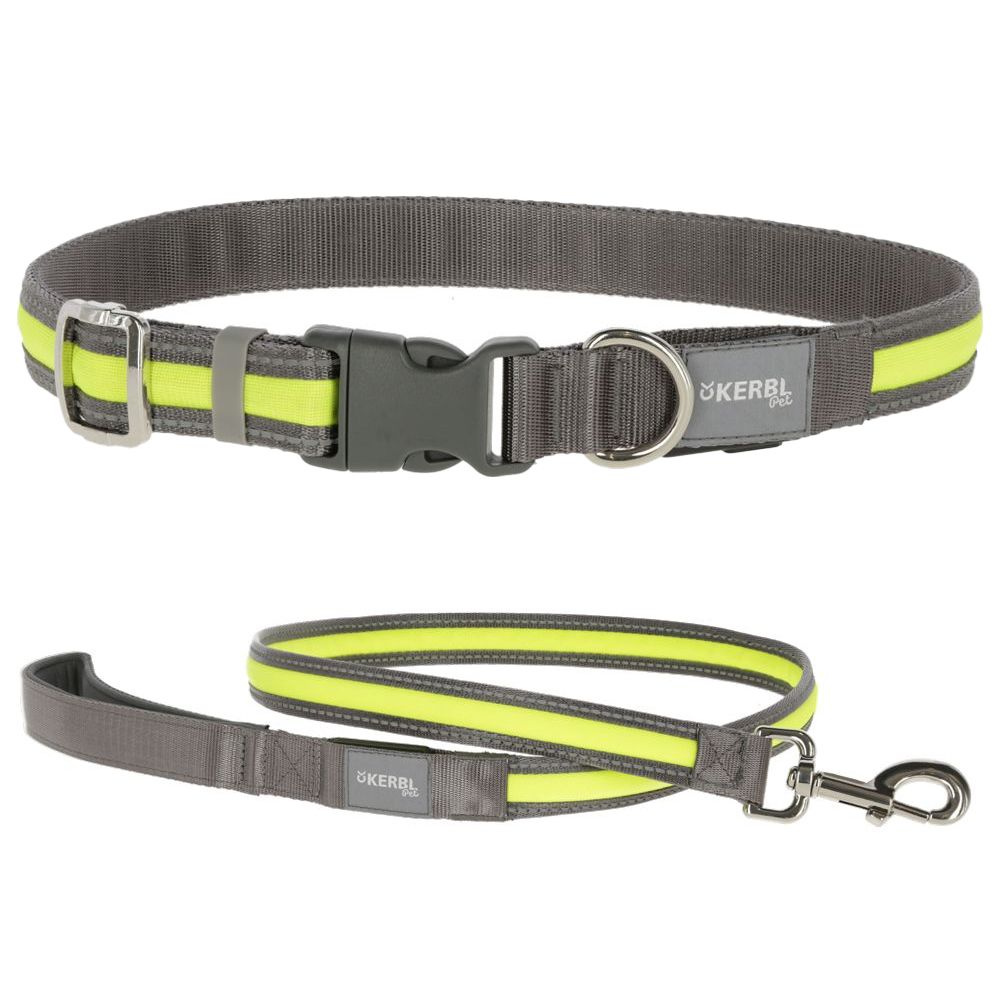 Kerbl Pet Light & Reflex Set Illuminated Collar and Lead