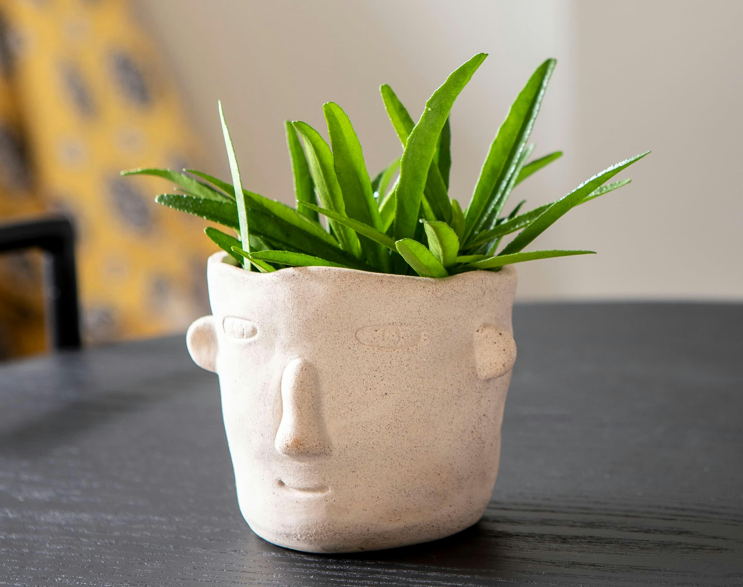 CYRANO - Cache-pot d'intérieur en céramique beige