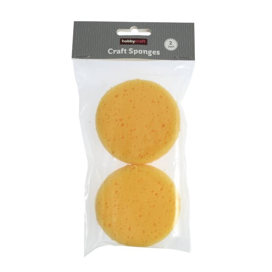 Craft Sponges 2 Pack