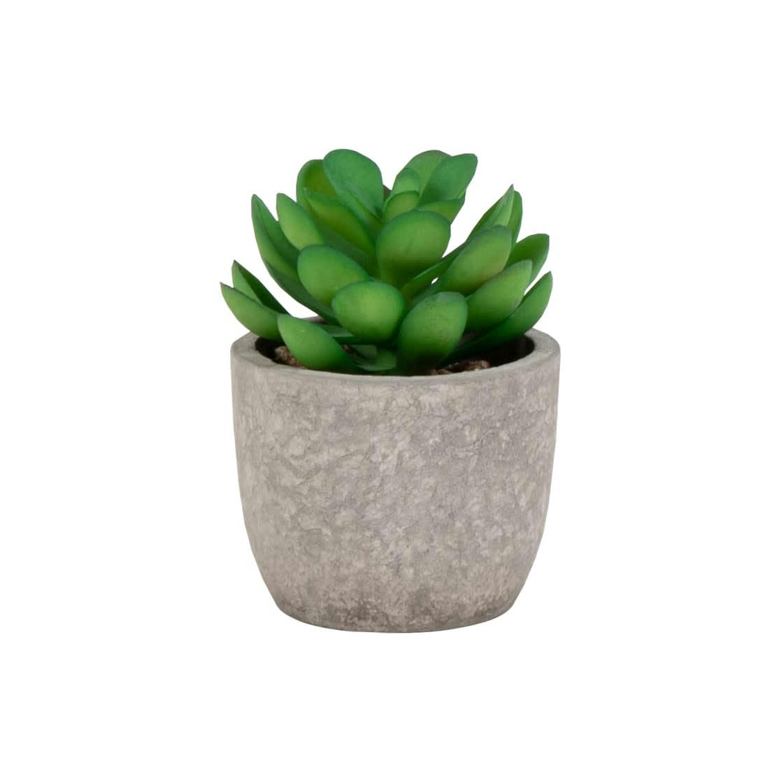NINON - Succulente artificielle verte et pot en grès gris