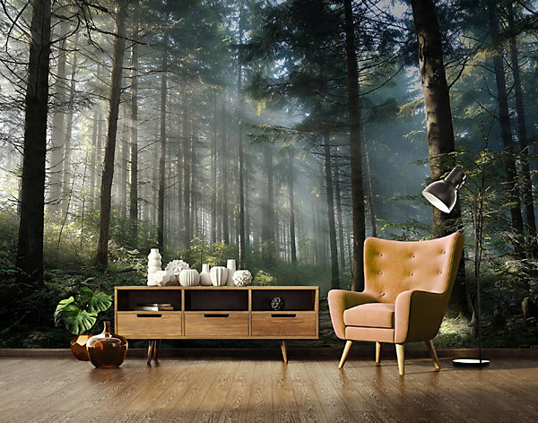 Papier Peint Forêt Arbres Nature Intissé Panoramique Pour Chambre Cuisine 400x280 cm