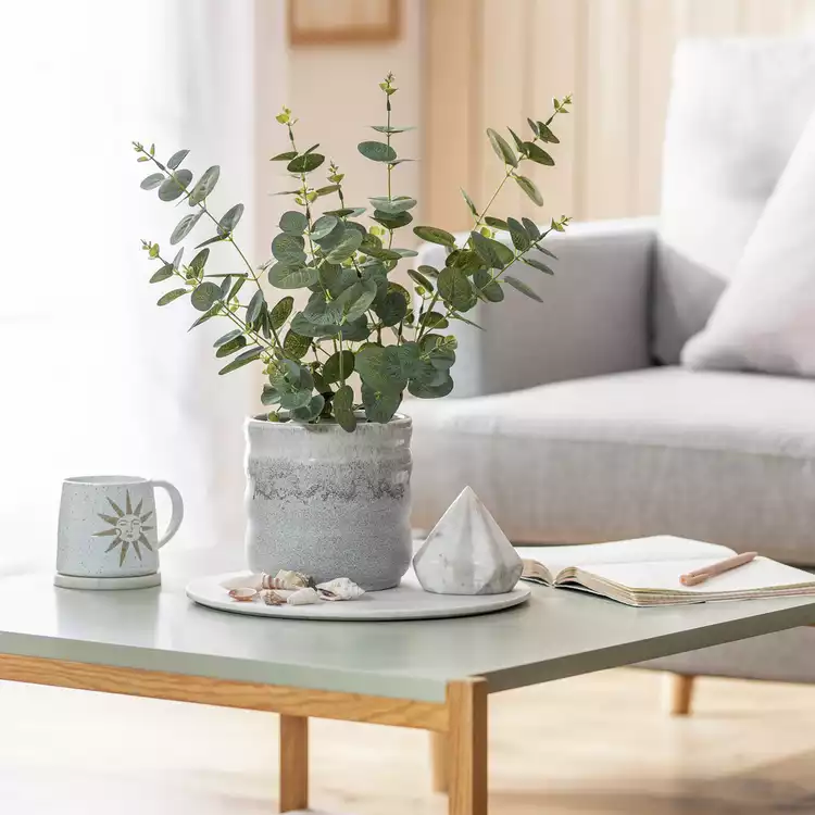 Habitat Artificial Green Eucalyptus in Matte Black Plant Pot