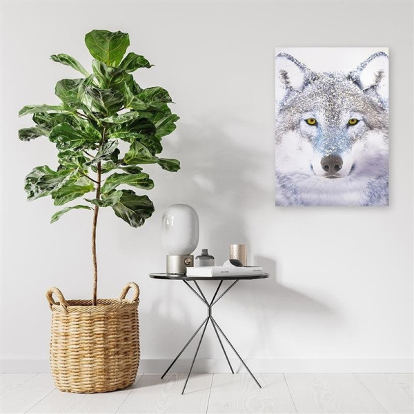 Feeby Obraz na płótnie Biały wilk w śniegu 40x60