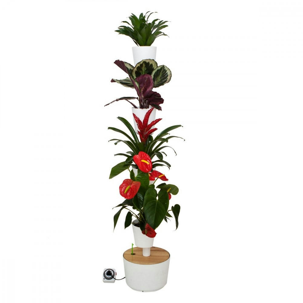 - Jardin d'intérieur avec 4 plantes décoratives et arrosage auto blanc