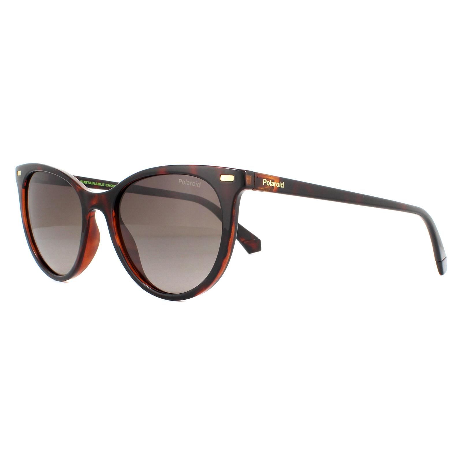 Polaroid Cat Eye Havana Brown Gradient Polarized Sunglasses