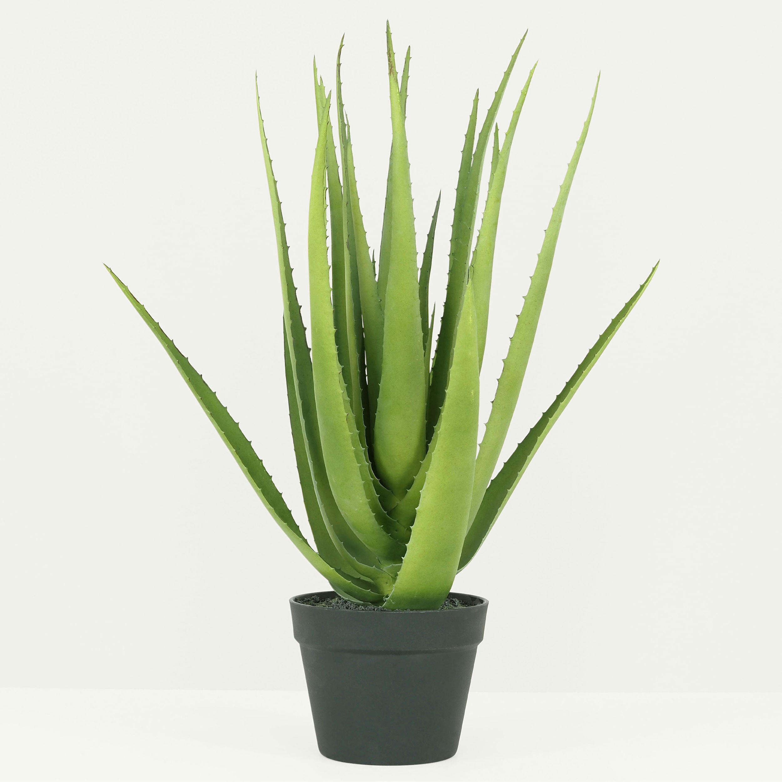 - Aloe vera artificiel 60cm