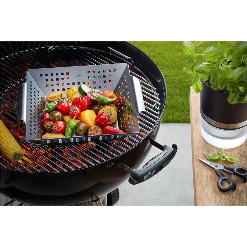 Grilleinsatz BBQ
