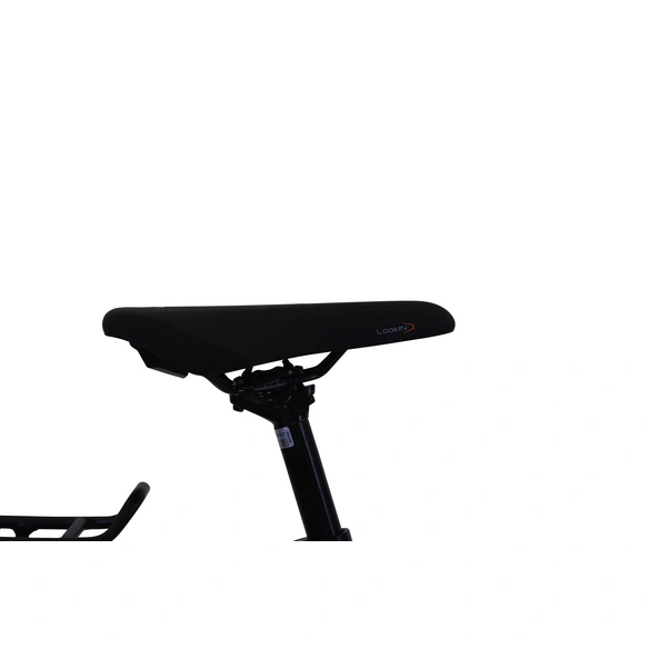 Trekkingrad »Super Deluxe«, 28 Zoll, 8-Gang, Damen
