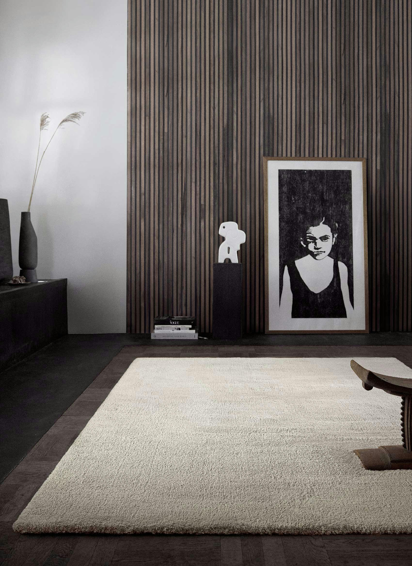 VANESSA - Tapis doux polyester microfibre beige 160x230