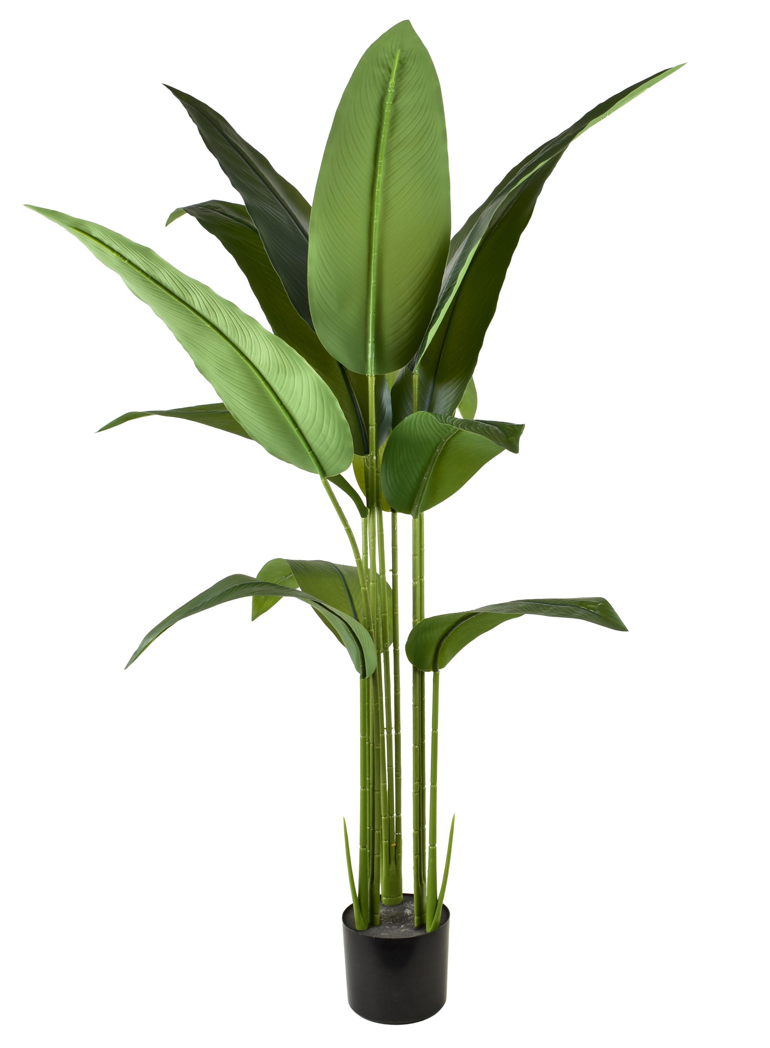 VIRIDIS Kwiat sztuczny Bananowiec 140cm