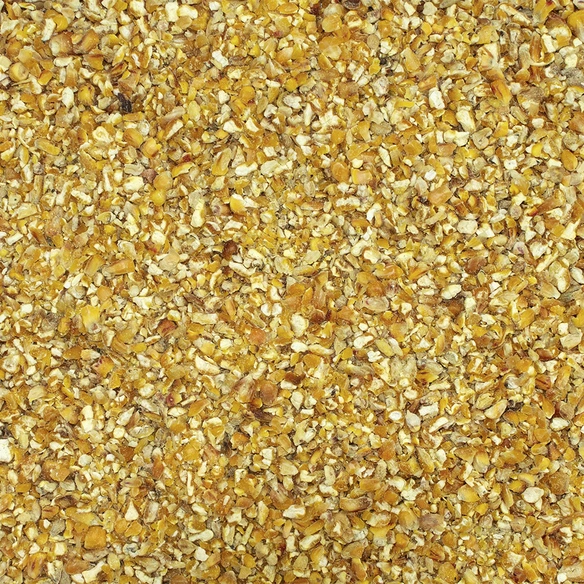 Einzelfuttermittel, Maisbruch, Geeignet für: Geflügel