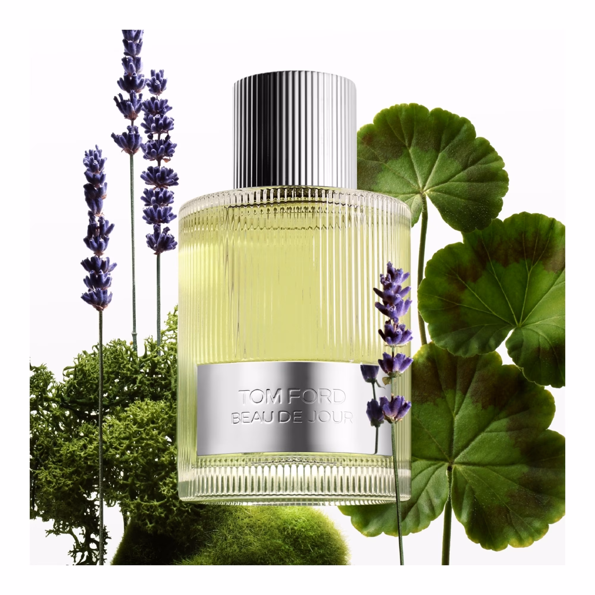 BEAU DE JOUREau de parfum