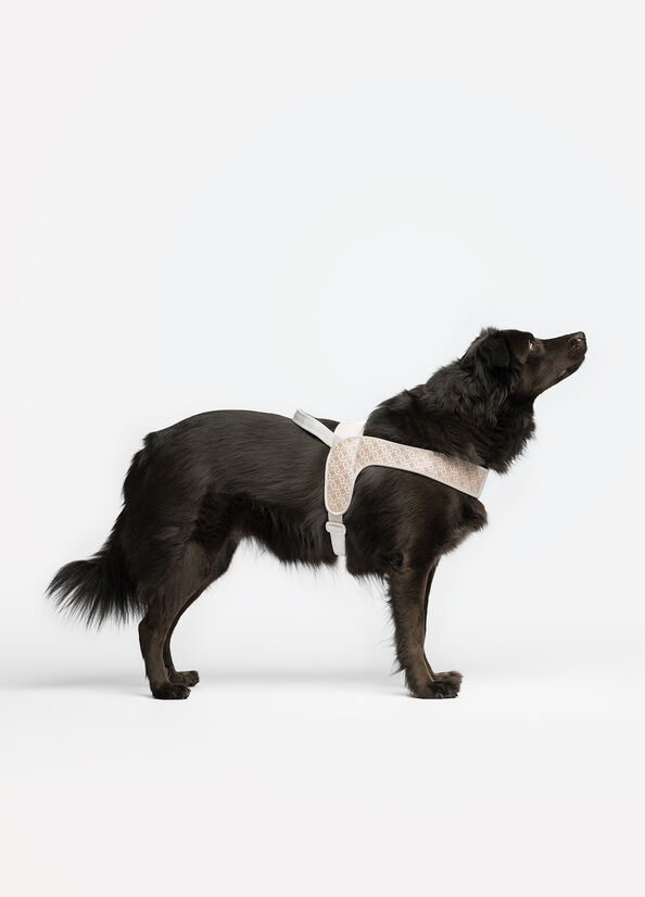 Pettorina taglia grande Liu Jo Pets