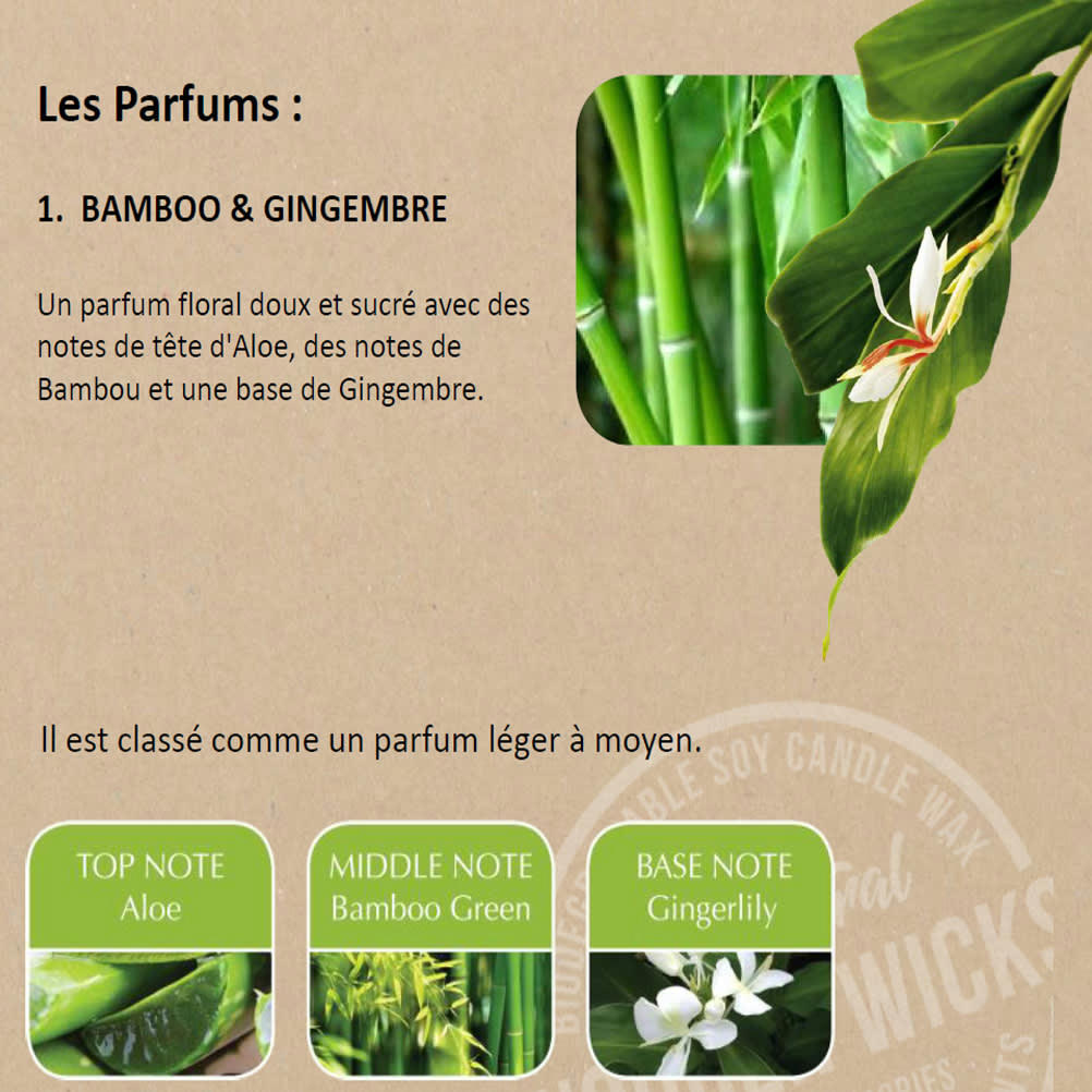 - Galet de cire bambou gingembre heart and home