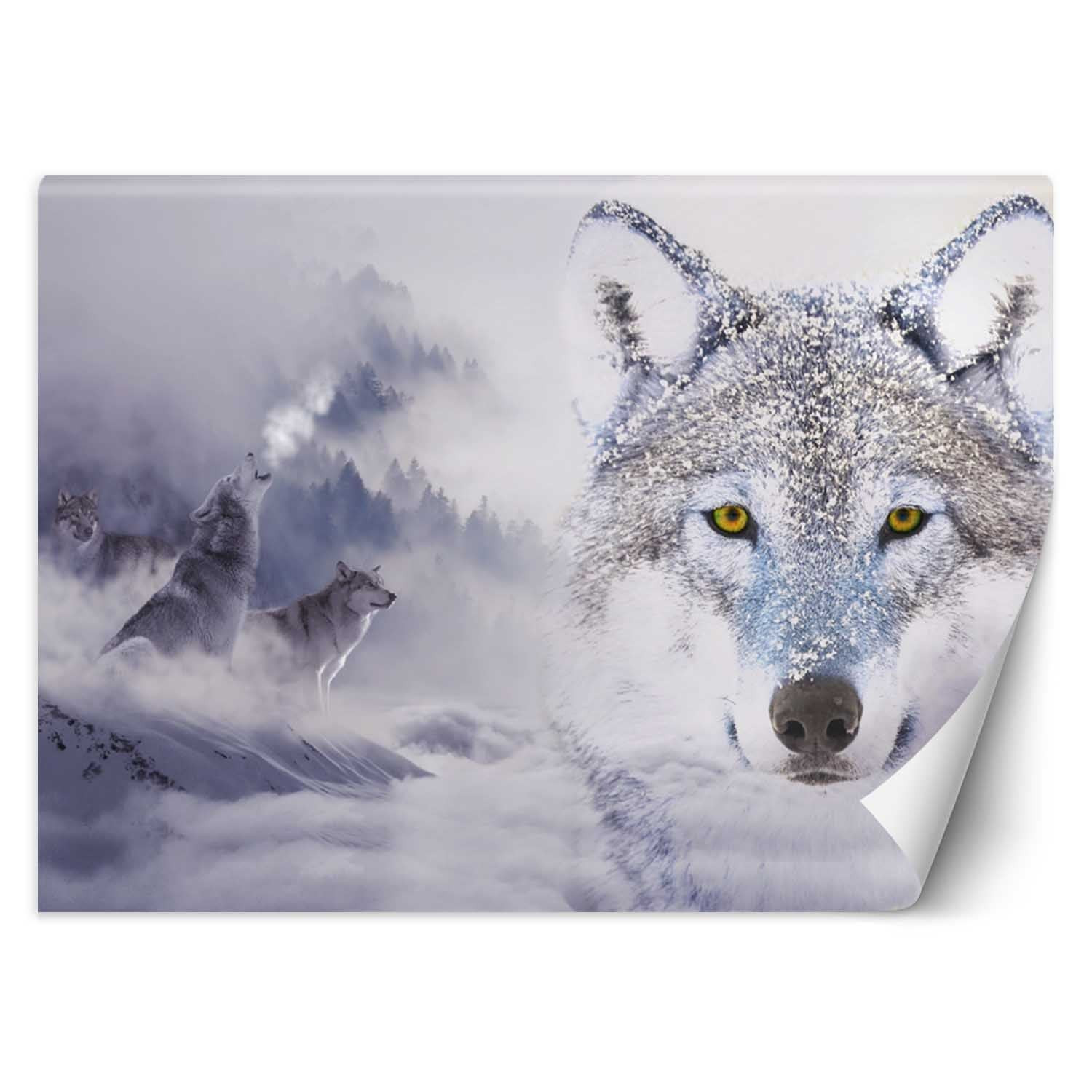 Feeby Fototapeta, Wilki zima las we mgle 150x105