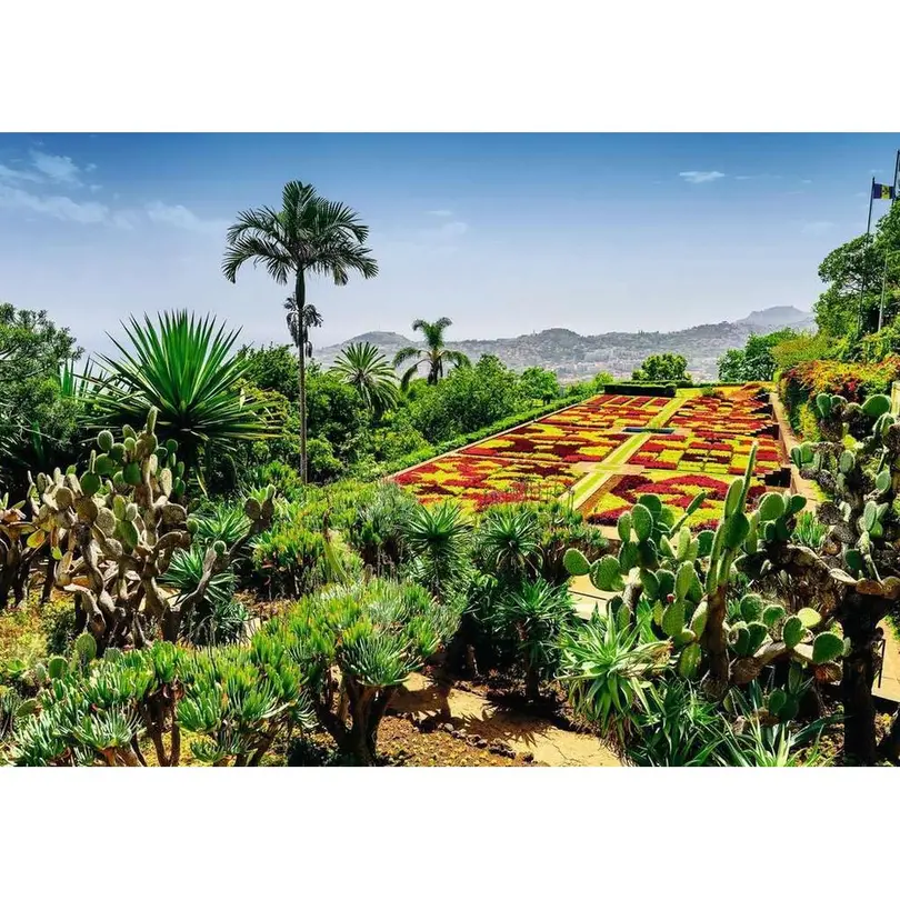 Puzzle Botanischer Garten