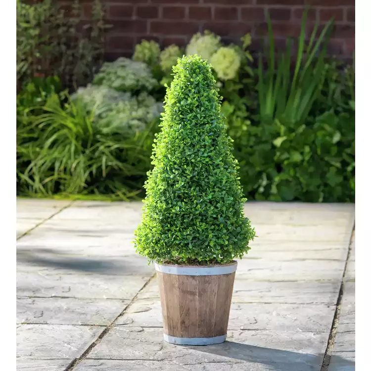 Garden by Sainsbury's Faux Cone Tree Wooden Pot