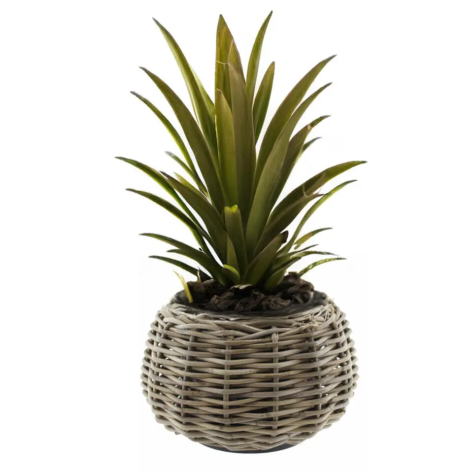 Van Der Leeden Planten/bloemen mand - rotan -D30 x H19 cm