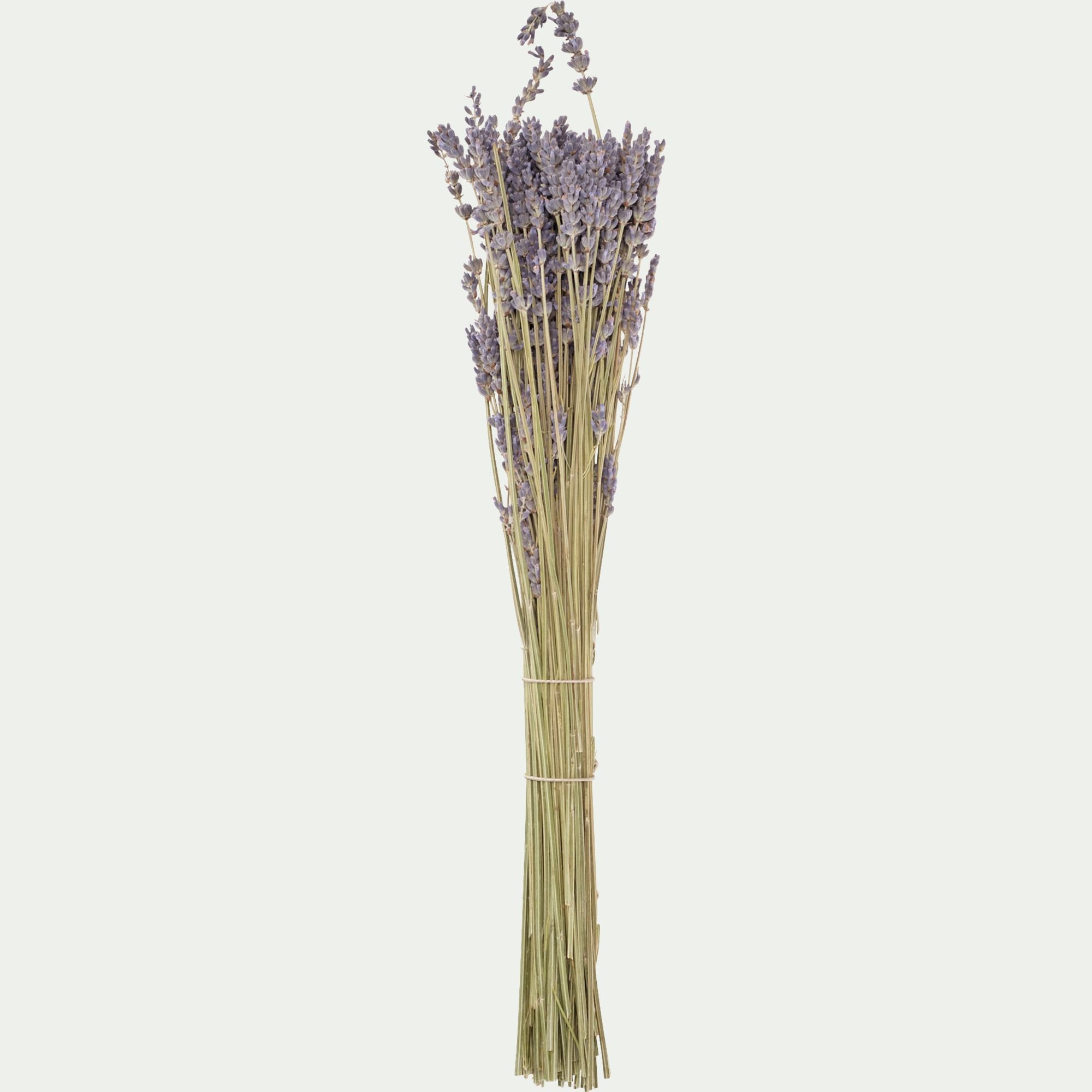 FLORALIE - Botte de lavande séchée 35cm - bleu