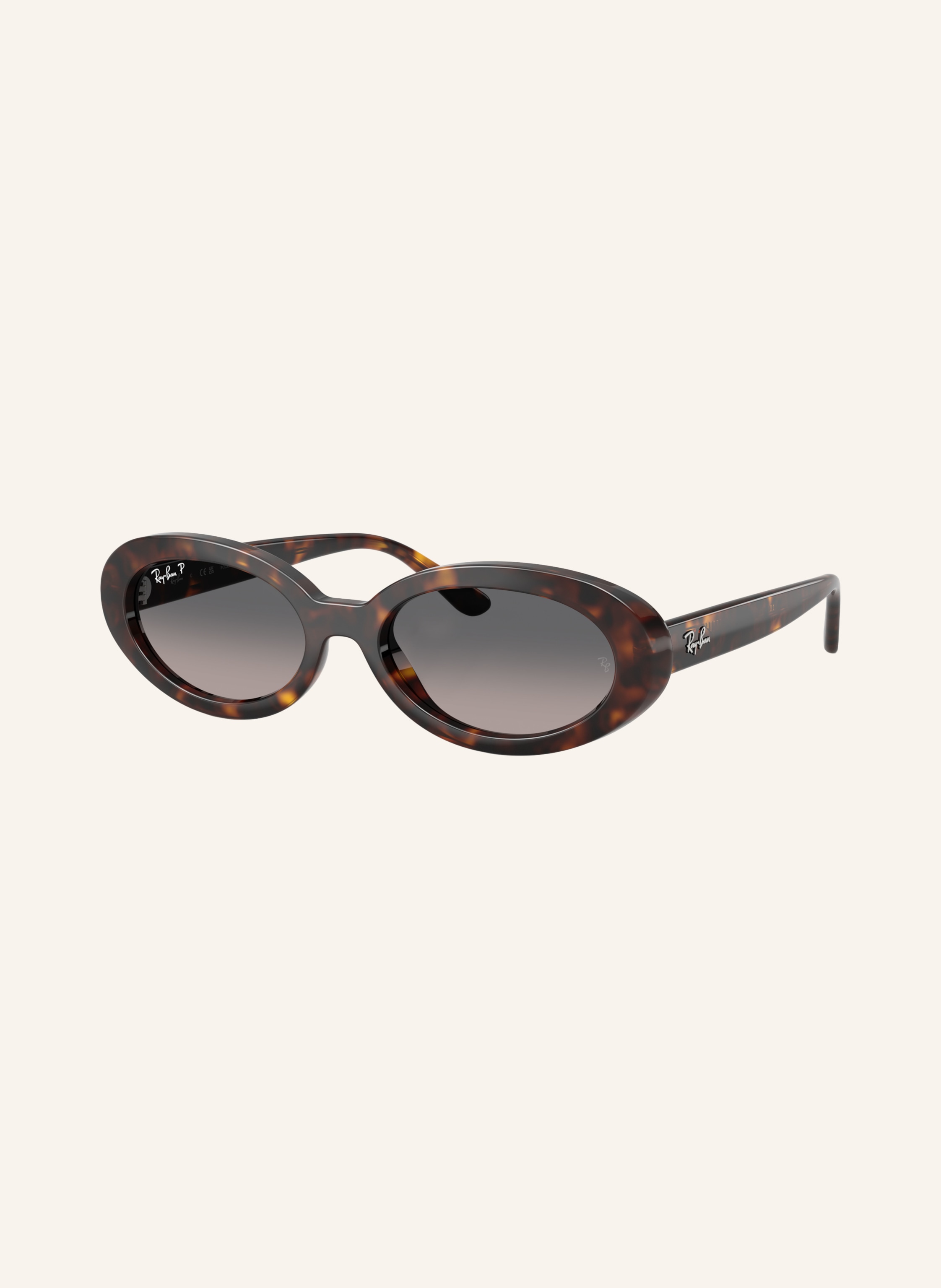 Ray-Ban Sonnenbrille RB2223