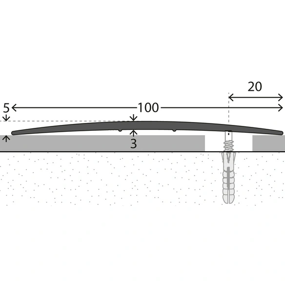 Übergangsprofil, BxH: 100 x 5 mm, seitlich versenkt gelocht