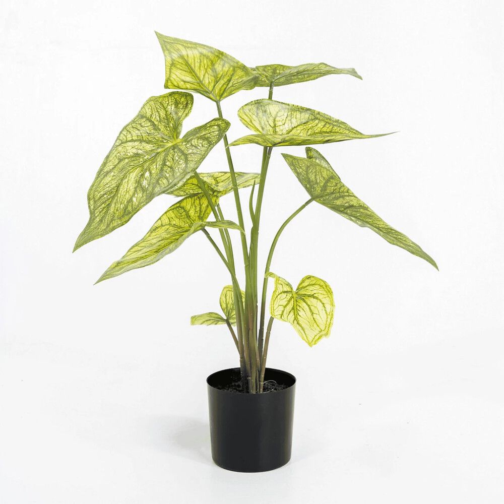 KUNSTPLANTE EMERALD CALADIUM 60CM GRØNN