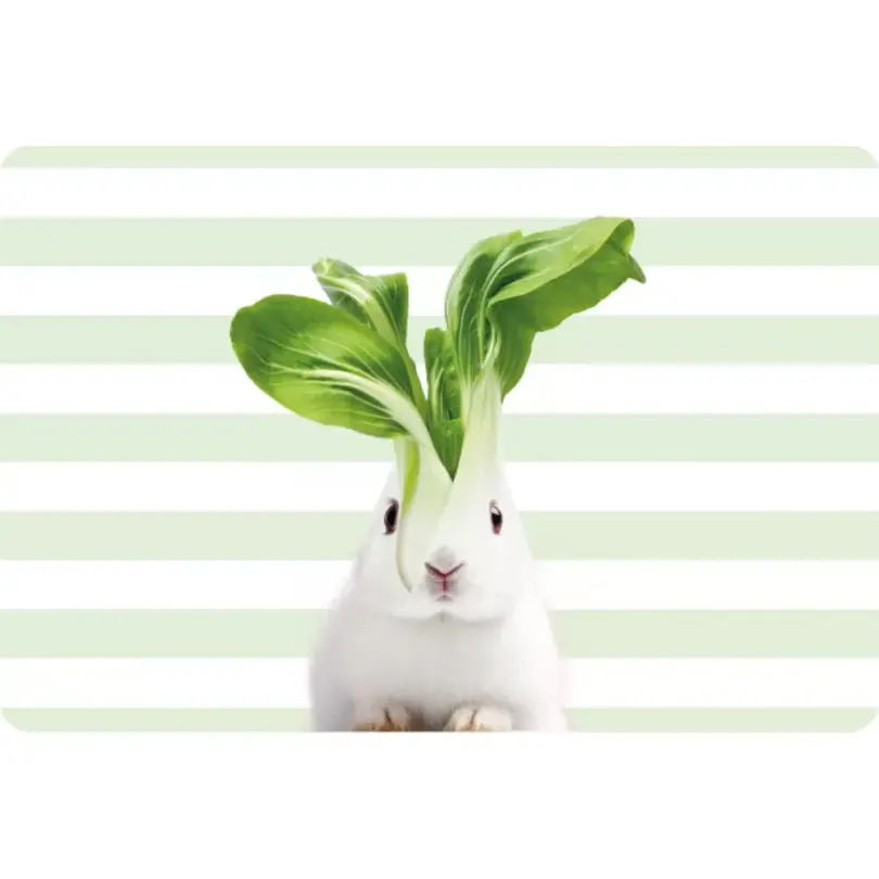 Tischset Hase