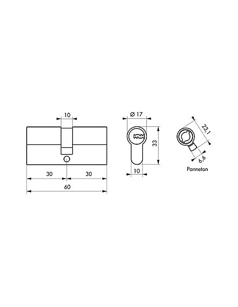 Cylindre de serrure double entrée Transit 2 pour serrure Trimax A2P, 30x30mm, nickel, 4 clés - THIRARD