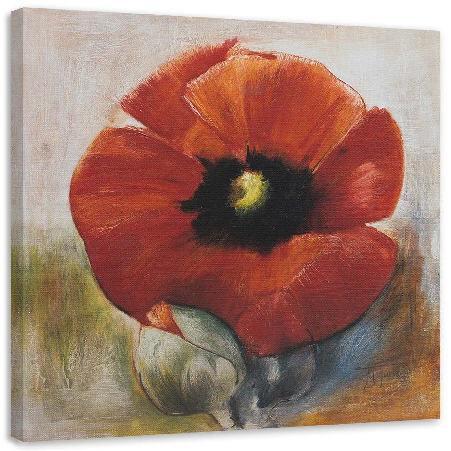 Feeby Obraz Jak ręcznie malowany mak i pąk 30x30
