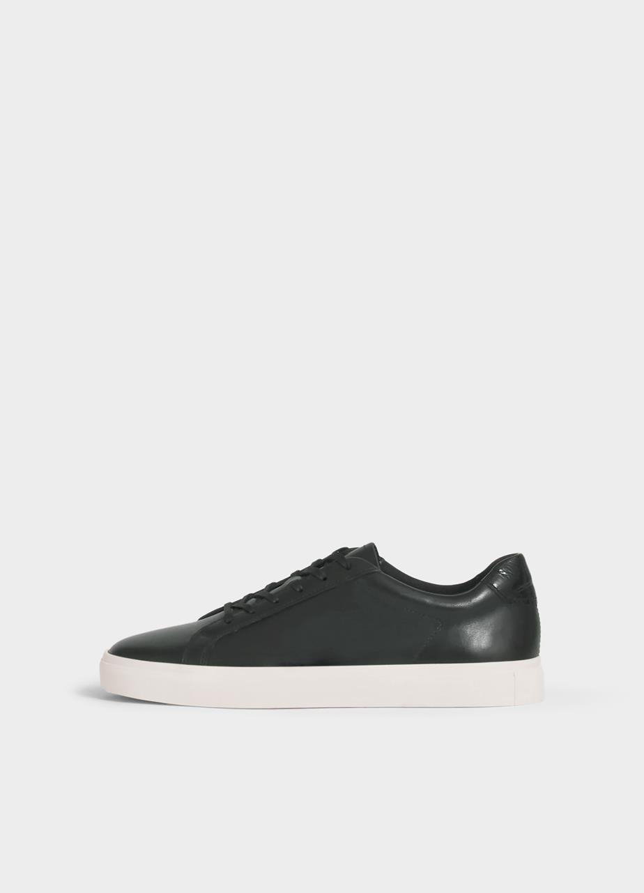 Cody Sneakers