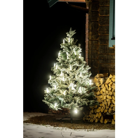 LED-Lichterkette, 25 Leuchtmittel, warmweiß, Kabelfarbe grün