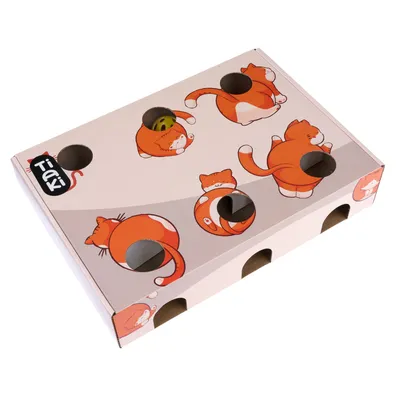 TIAKI Fun Box Cat Toy
