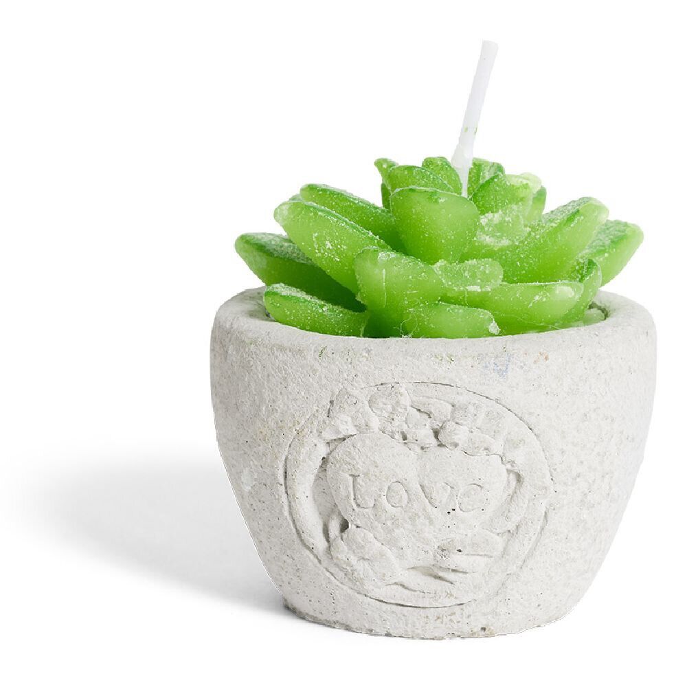 Bougie plante dans pot ciment Ø5xH7cm