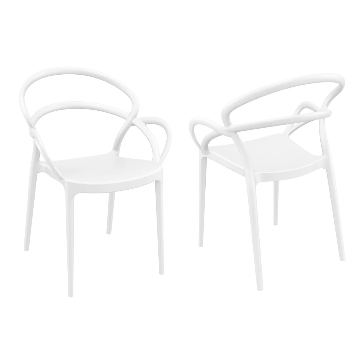 Ibis Modern Dining Armchairs (Set of 2)