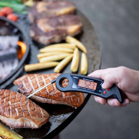 Thermomètre barbecue à sonde digital - Grillfürst