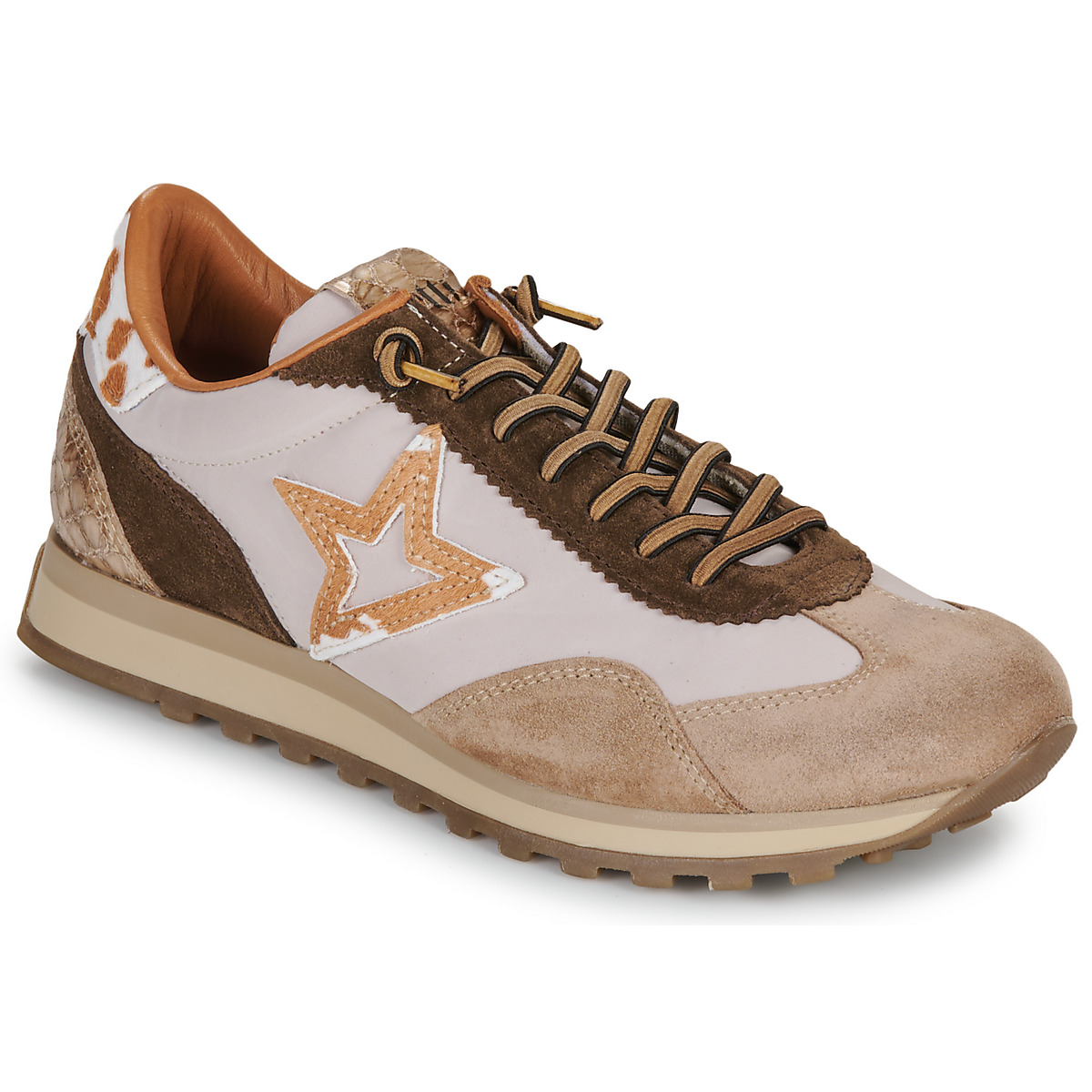 Cetti - C-1259-SRA-INV26-ANTE-NILON-DESSERT - Ecru / Brown