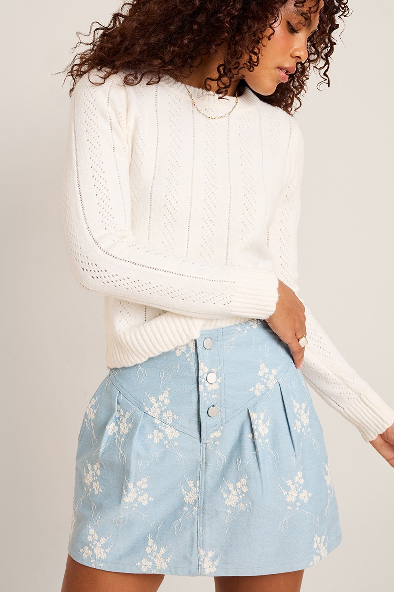 Hannah Embroidered Denim Mini Skirt