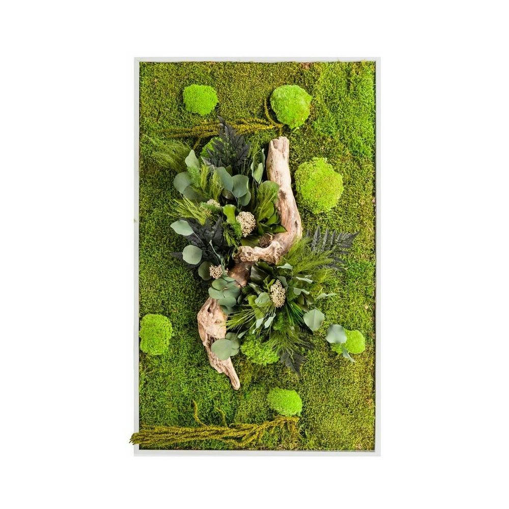 STAB NATURE - Tableau végétal stabilisé nature rectangle 40 x 90 cm