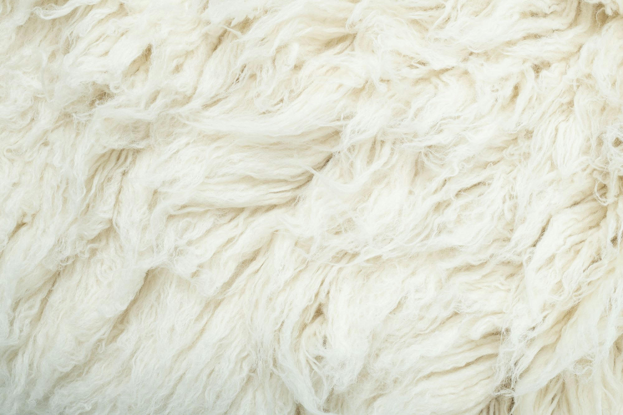 FLOKOS XXL - Tapis flokati en laine vierge - naturel D200 cm