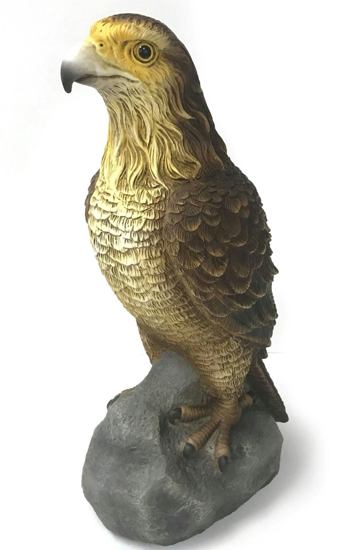 For Living Falcon Statue & Lawn Ornament, 14-in