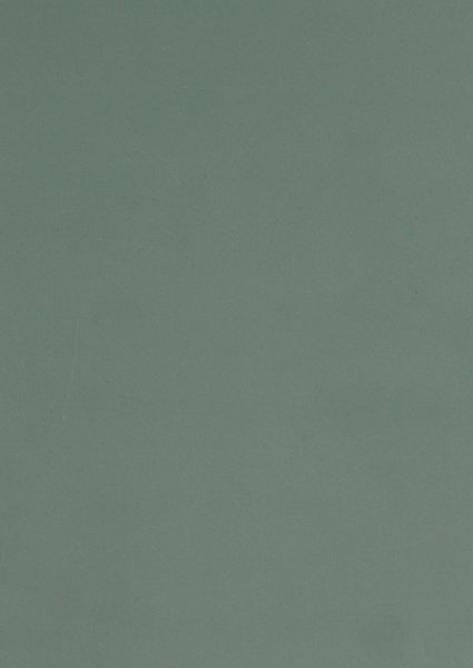 Panneau mélaminé Ninna prédécoupé vert olive 280X80X2.2cm