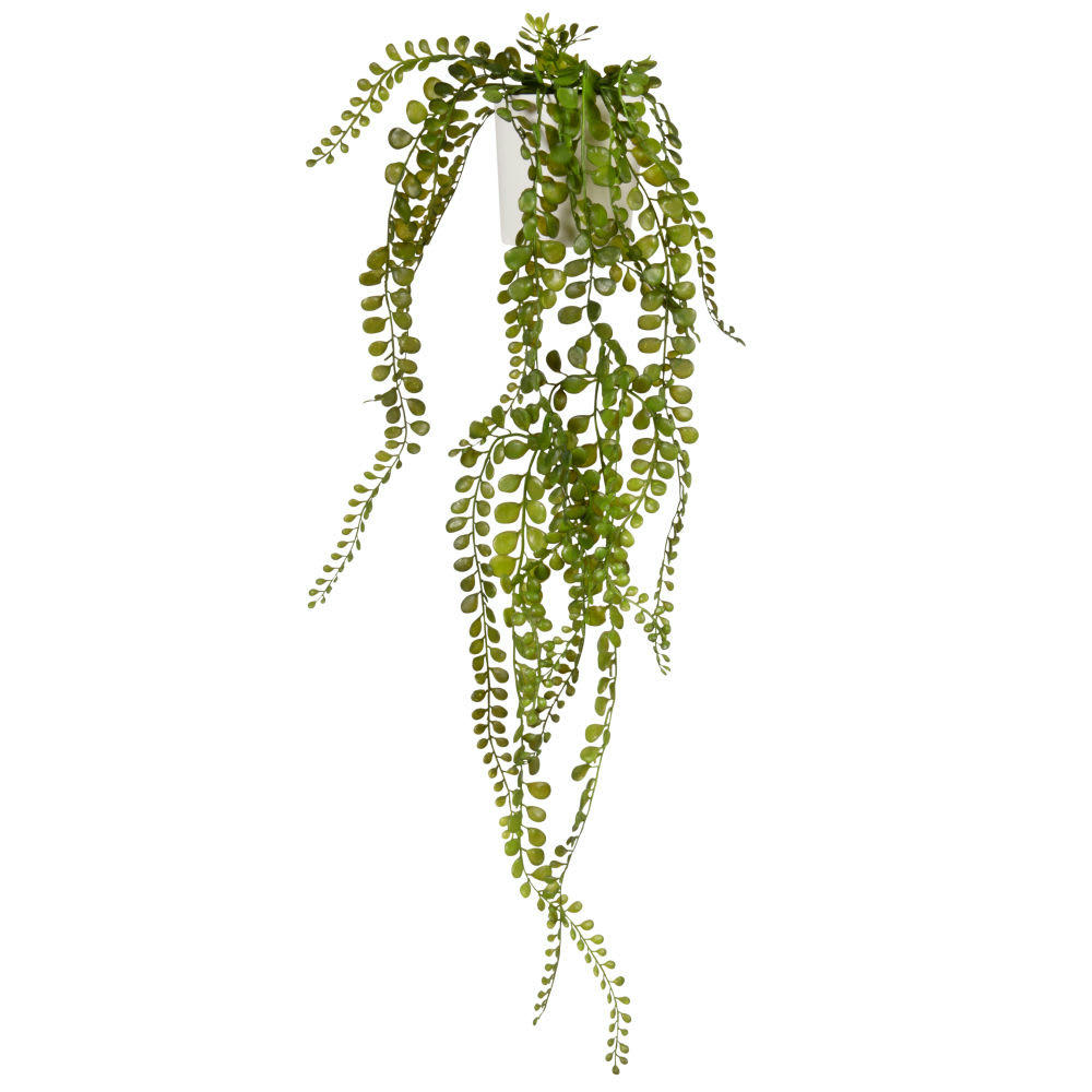 - Plante grasse artificielle et pot en céramique blanche